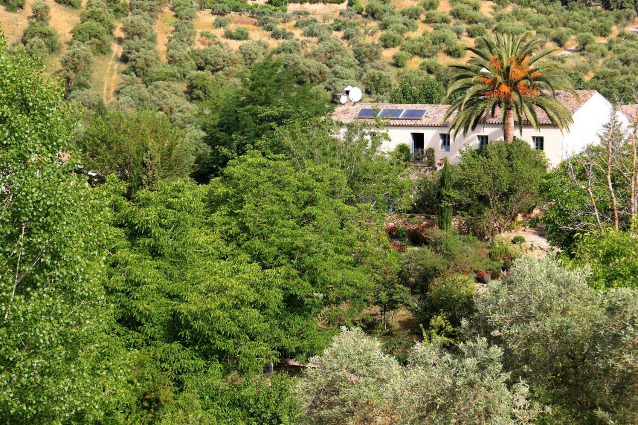 Beautiful Country House Near Ronda أرياتي المظهر الخارجي الصورة